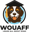 Wouaff